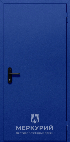 дверь однопольная глухая (синяя)