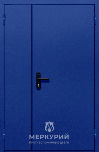 дверь полуторная глухая (синяя)